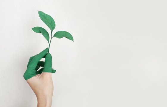 Hand wird zu Pflanze, abstrakt