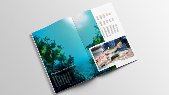 NORMA CSR Mockup doppelseitig