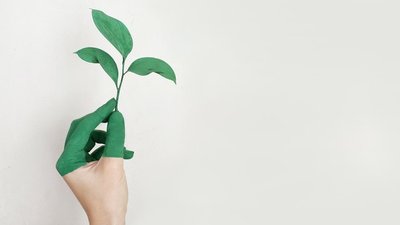 Hand wird zu Pflanze, abstrakt