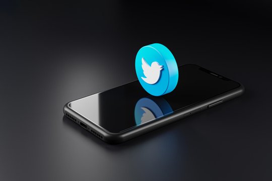 twitter logo, mockup, steigt aus display auf