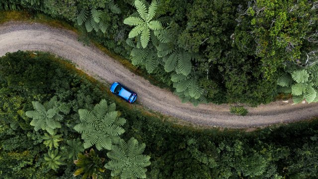 ein Auto brettert durch den Dschungel