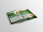 eine doppelseite des martin bauer insiders