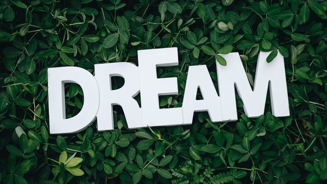 schriftzug DREAM, hintergrund pflanzen
