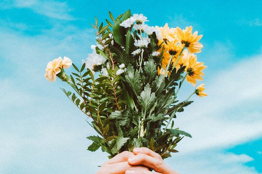Hände halten Blumenstrauß in die Luft