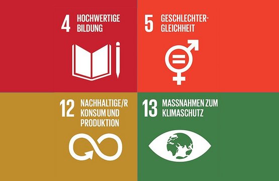 Vier Ziele für nachhaltige Entwicklung